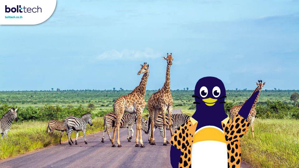 ประเทศฟรีวีซ่า