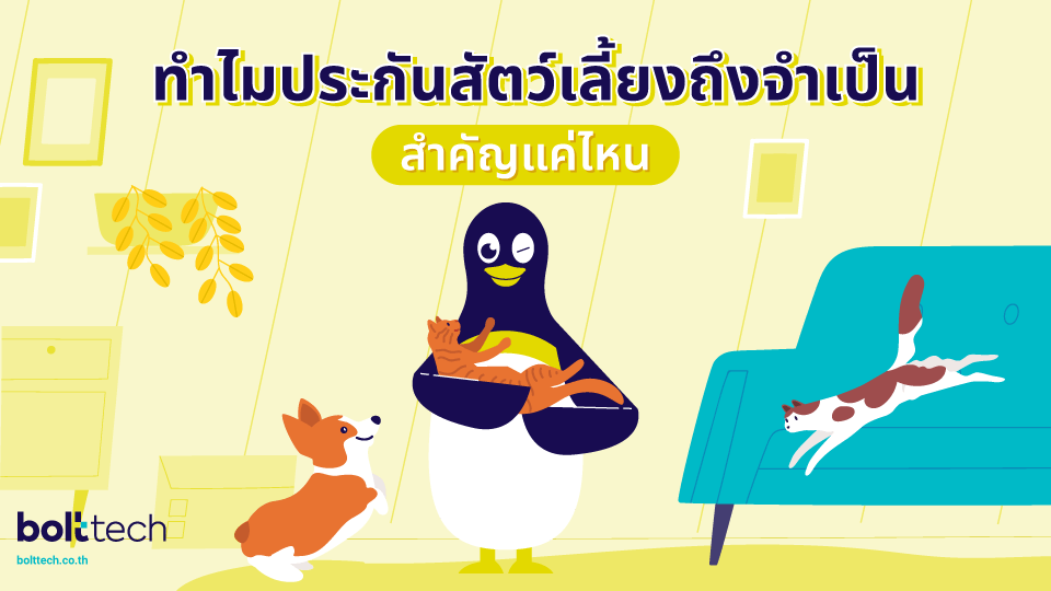 ข้อดีประกันสัตว์เลี้ยง