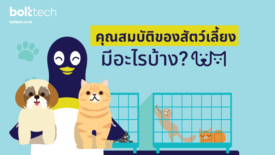 คุณสมบัติสัตว์เลี้ยง